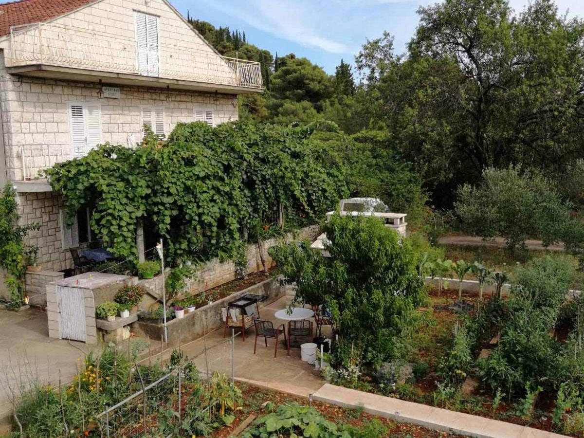 Apartments Marita Korčula Dış mekan fotoğraf