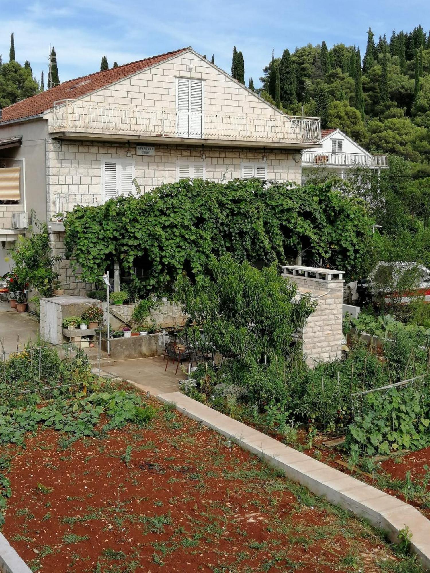 Apartments Marita Korčula Oda fotoğraf